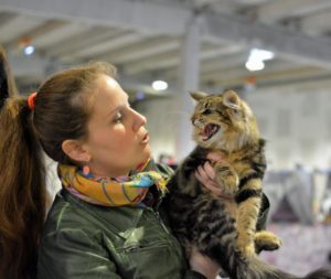 Hayleyvel a győri kiállításon 2015 tavaszán