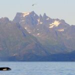 Møysalen Nemzeti Park