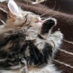 Első hetek- első tél