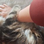 Első hetek- első tél