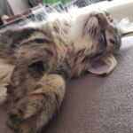 Első hetek- első tél