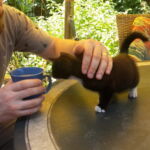 A közös kávézás fontos :)