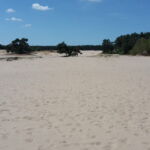 Hollandia homokdűnék