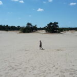 Hollandia homokdűnék