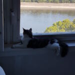 Az első napok - tetszik a kilátás