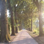 Ilyen kis utak vannak vidéken a tanyák között