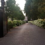 Pazar út a házhoz hortenzia sövénnyel