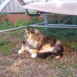 Szépséges Natalie <3