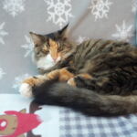 Szépséges Natalie <3