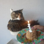 Nati és Tomi szülinapi tortája! :)