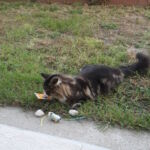 Ajándékok - mindennek örültek! <3