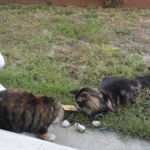 Ajándékok - mindennek örültek! <3