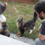 Ajándékok - mindennek örültek! <3