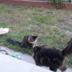 Ajándékok - mindennek örültek! <3