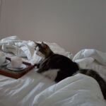 Reggeli kávézás az ágyban csakis Peach részvételével