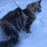 Első hetek- első tél