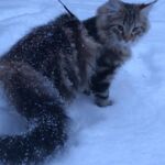 Első hetek- első tél