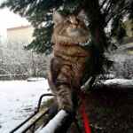 Molly új otthonában