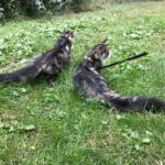 Picard és Flóra - kicsinek