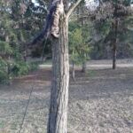 Ivar és Aslaug kalandjai