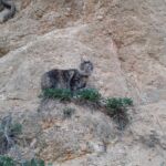 Ivar és Aslaug kalandjai