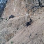 Ivar és Aslaug kalandjai