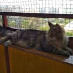 Uhura - már nagyban