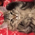 Első hetek- első tél