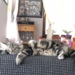 Első hetek- első tél