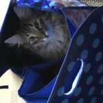 Első hetek- első tél