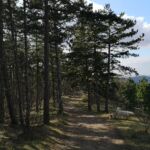 Napi séta Miloval a hegyen