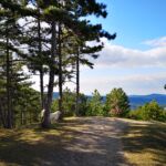 Napi séta Miloval a hegyen