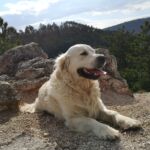 Napi séta Miloval a hegyen