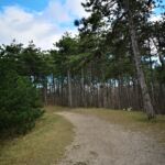 Napi séta Miloval a hegyen