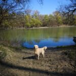 Miloval a Dunánál. Egy éve együtt!