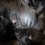 Az élet első órái