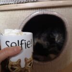 Kávé? Bármikor...