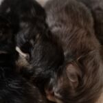 Melegítjük egymást