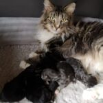 Rosita a büszke mama