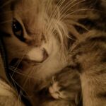 Az egyik legcsodásabb kép, amit valaha készítettem