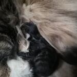 Egy új élet kezdete