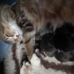 a mamával a legjobb