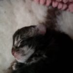 Azért ez a fej... mesés