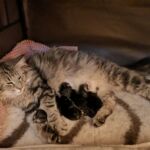 Az élet első napjai