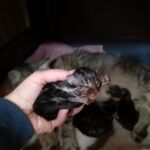 Az élet első napjai