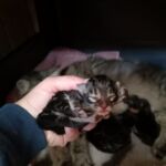 Az élet első napjai