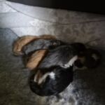 Az élet első órái, napjai