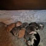 Az élet első órái, napjai