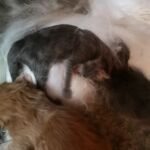 Az élet első órái, napjai