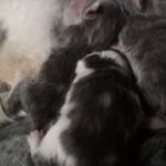 Az élet első órái, napjai